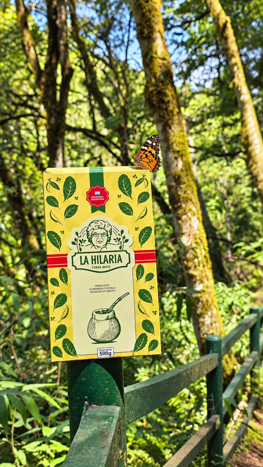 Paquete de yerba mate La Hilaria, de producción propia, junto al monte misionero